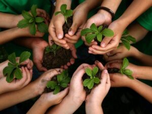 Easy Steps to Embrace an Eco-Friendly Family Lifestyle!