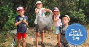 Brighten Your Days: Fun Family Volunteering Ideas to Try!