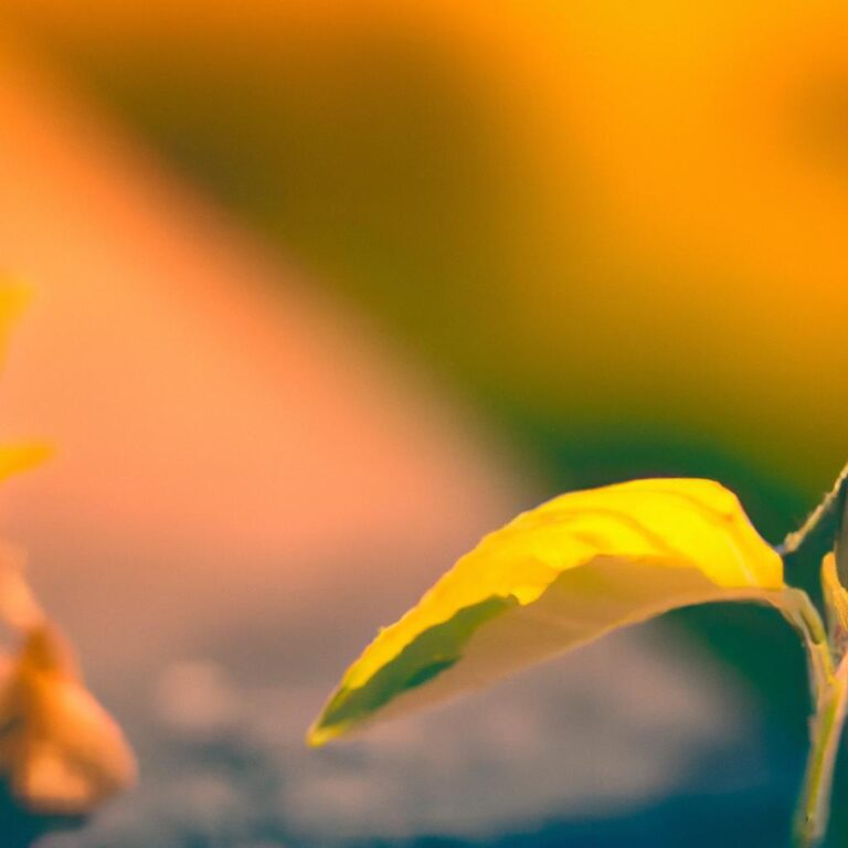 Nurturing Growth: Guiding Your Child Through Life’s Transitions