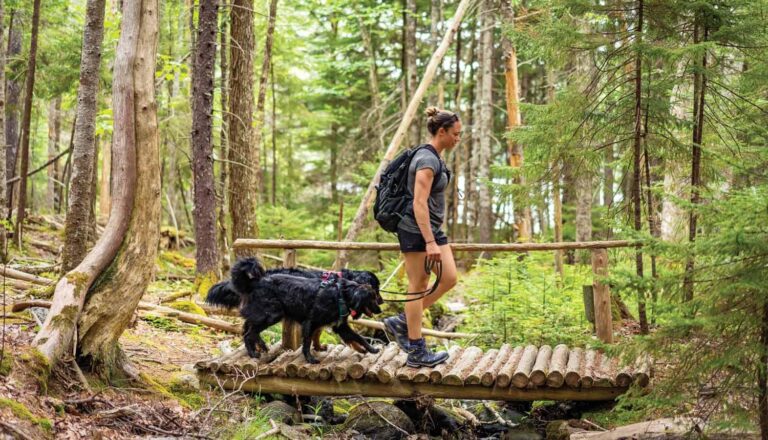 Explore Together: Top Family-Friendly Hiking Trails Await!
