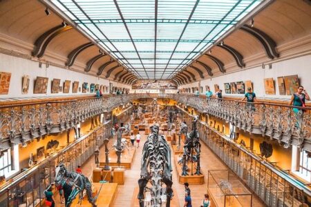 Discover the Joy of Learning: Fun Science Museums for Kids!