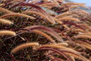 Fun Eco-Friendly Family Outings: Teach Sustainability Together!