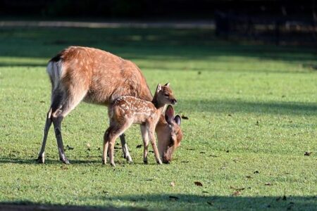 Balancing Act: Realistic Expectations for Working Parents