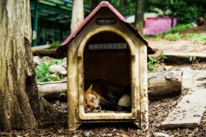 Understanding Sleep Deprivation’s Toll on Parental Mental Health