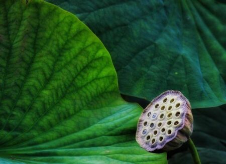 Embrace Eco-Friendly Parenting: Thoughtful Green Gift Ideas!