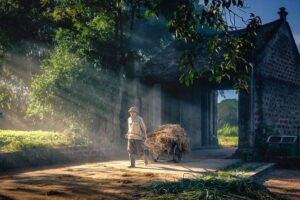 Crafting an Effective Morning Routine for School Success