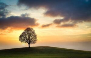 Navigating Single Parenting: Challenges and Available Support