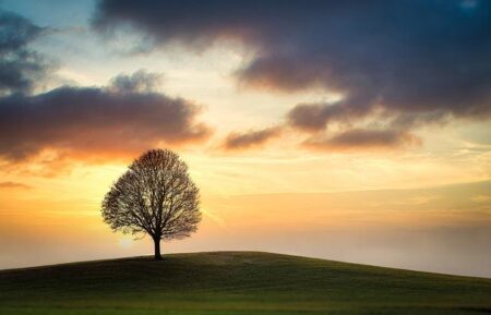Navigating Single Parenting: Challenges and Available Support