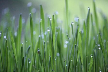Embrace Eco-Friendly Parenting for a Greener Tomorrow!