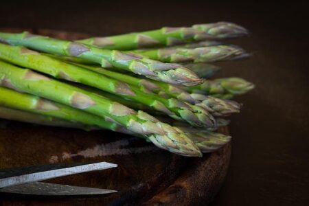 Effortless Meal Prep Tips for Busy Working Parents
