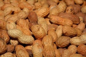 Whip Up Healthy Snacks in 30 Minutes or Less!