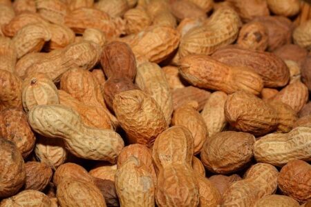 Whip Up Healthy Snacks in 30 Minutes or Less!