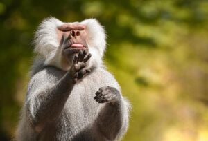 Effective Strategies for Managing Negative Child Behaviors
