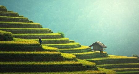 Thriving Together: Sustainable Living for Happy Families!