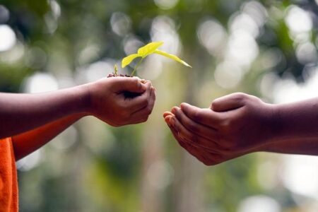 Growing Together: Fun Gardening Ideas for Families with Kids
