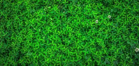 Eco-Friendly Parenting: Tips for Raising Green Kids