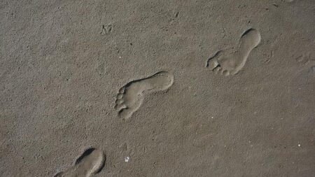 Empowering Kids: Understanding Digital Footprints and Online Reputation
