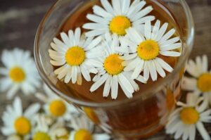 Finding Peace: Nature Therapy Benefits for Overwhelmed Parents