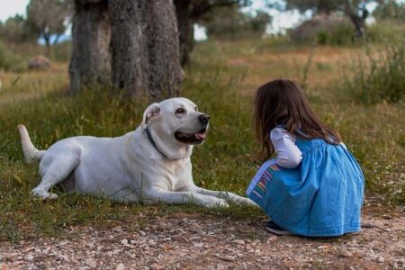 Navigating Your Child’s First Friendships and Social Challenges