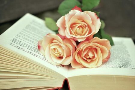 Building Bonds: Easy Steps to Start Your Family Book Club!
