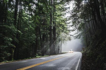 10 Tasty & Healthy Road Trip Snacks Every Family Will Love!