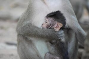 Overcoming Parental Isolation: Building Meaningful Connections