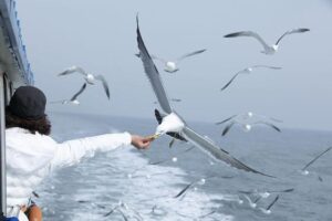 Embracing the Little Joys: Cherishing Family Moments