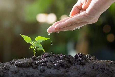 Nurturing Kindness: Cultivating Gentle Souls in Boys