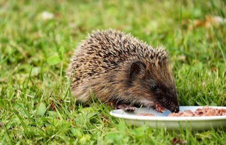 Fun Ways to Teach Your Child About Mindful Eating