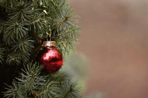Joyful Ideas for Celebrating Seasonal Holidays with Fun!