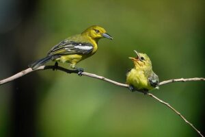 Navigating Parental Guilt: Essential Tips for Dads