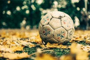 Seasonal Joy: Fun Activities to Embrace Every Season!