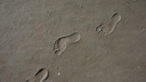 Guiding Kids in Understanding Digital Footprints and Reputation