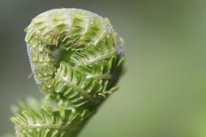 Mastering Patience in Parenting: Essential Tips and Strategies