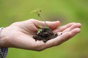 Nurturing Gratitude: Teaching Kids the Value of Appreciation