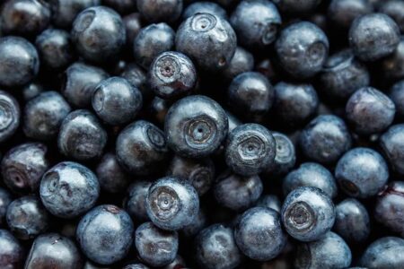 Boosting Student Success: The Impact of Nutrition on Learning