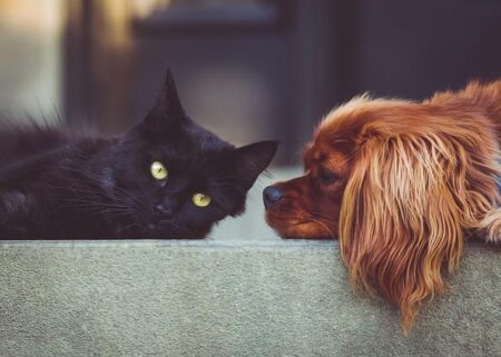 Embracing Friendship: Staying Connected After Kids