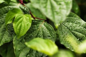 Eco-Friendly Potty Training: Sustainable Choices for Your Toddler