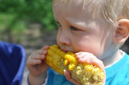Boost Your Child’s Health: The Power of Fiber in Their Diet!