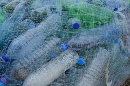 Simple Ways to Cut Down on Single-Use Plastics at Home