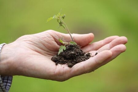 Nurturing Kindness: Inspiring Positive Behavior in Kids